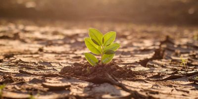 Velatia: sostenibilidad, medio ambiente