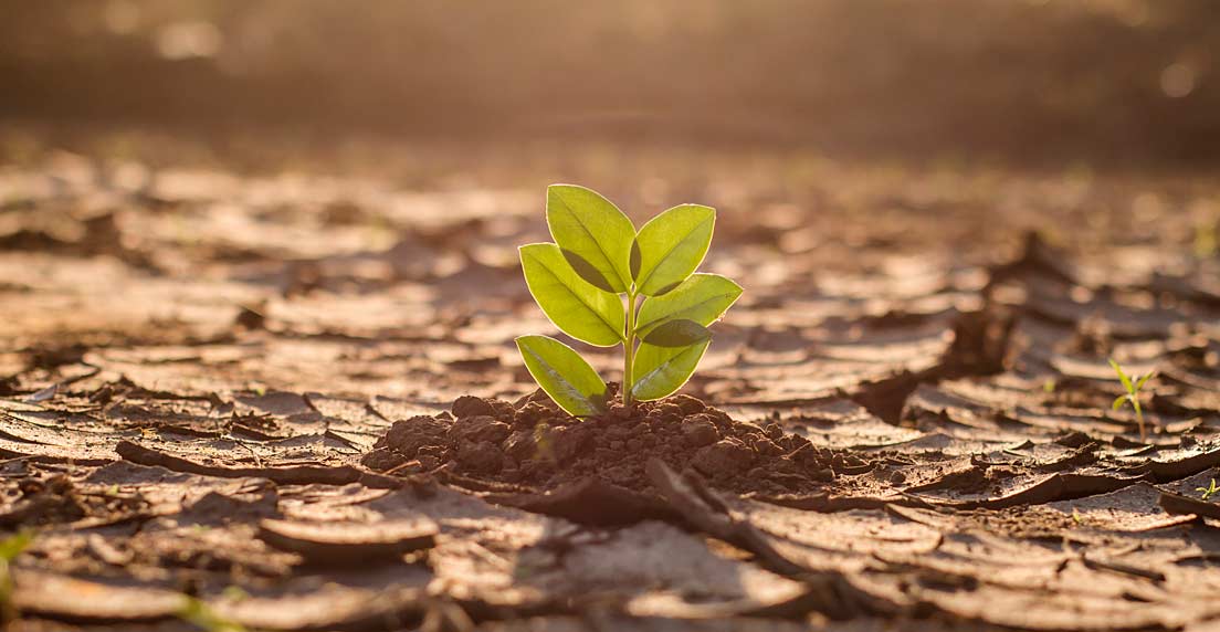 Velatia: sostenibilidad, medio ambiente