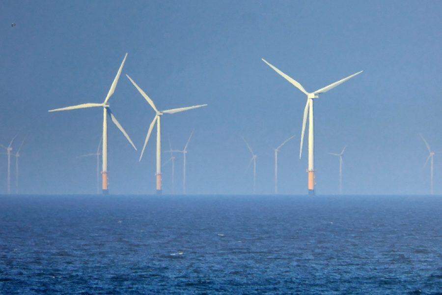 Ocean Renewable Energy Action Coalition says 1,400 GW of offshore wind is possible by 2050