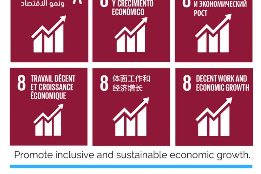 What is Sustainable Development Goal 8?
