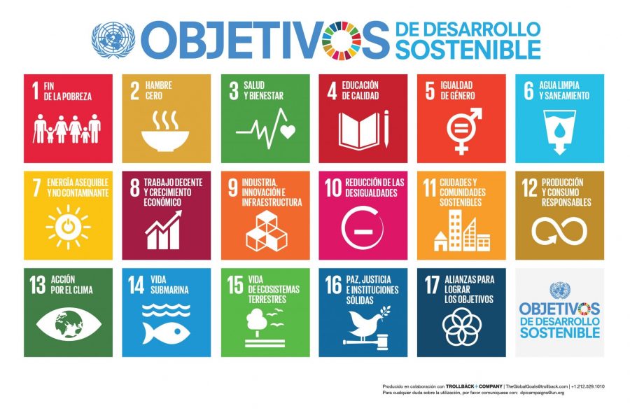 ¿Qué son los Objetivos de Desarrollo Sostenible?