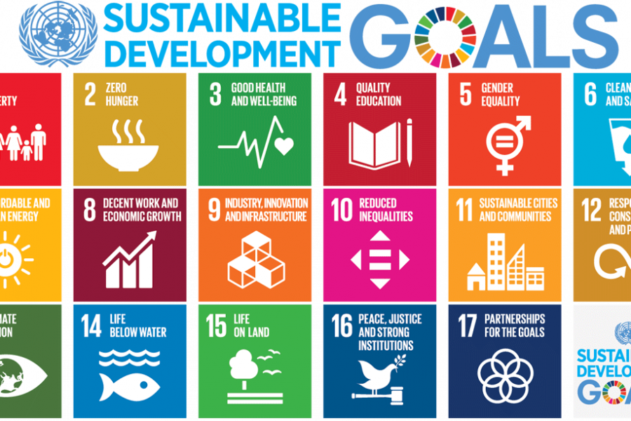 What are the Sustainable Development Goals?