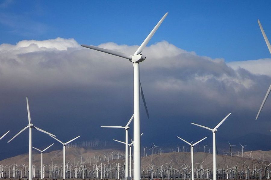 2021 becomes the second-best year in the history of the wind energy sector