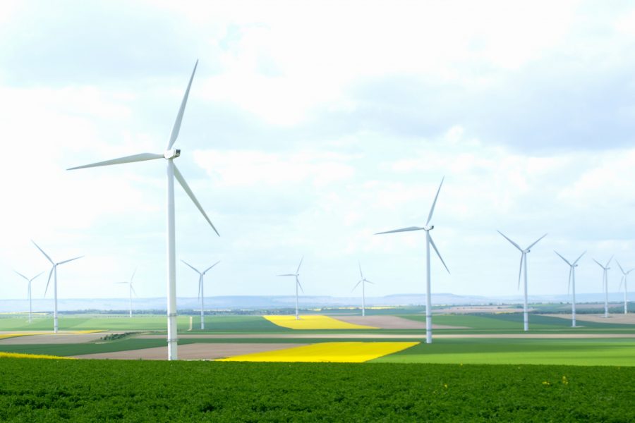 La inversión verde en España supondrá el 37% del Plan de Recuperación Económica