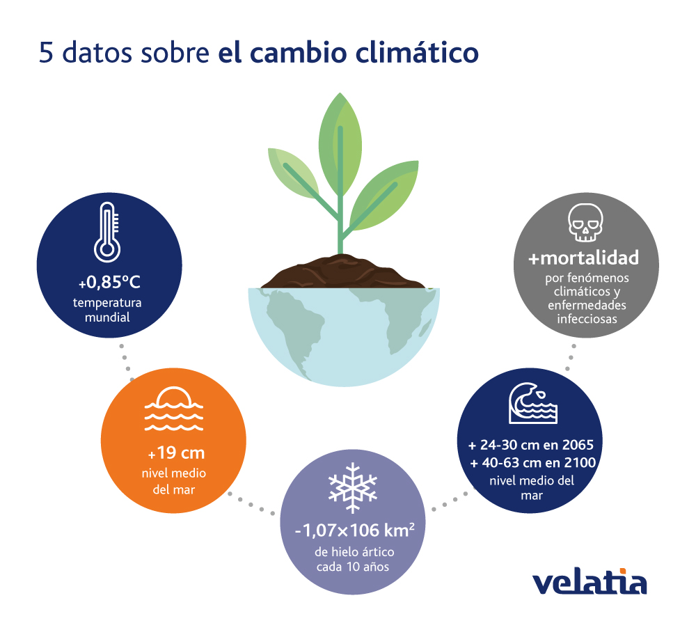 5 datos sobre el cambio climático