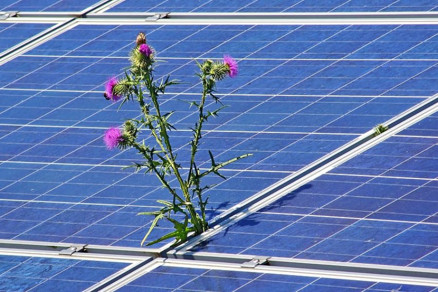 2020, un año soleado para la energía fotovoltaica