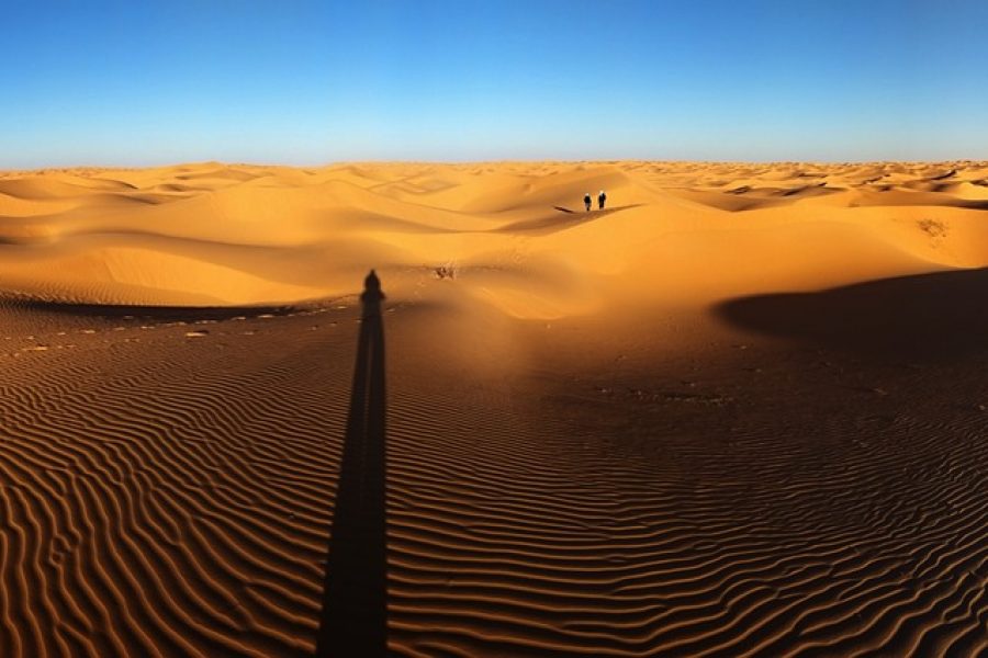El Sáhara Occidental acogerá  uno de los más grandes parques eólicos del planeta