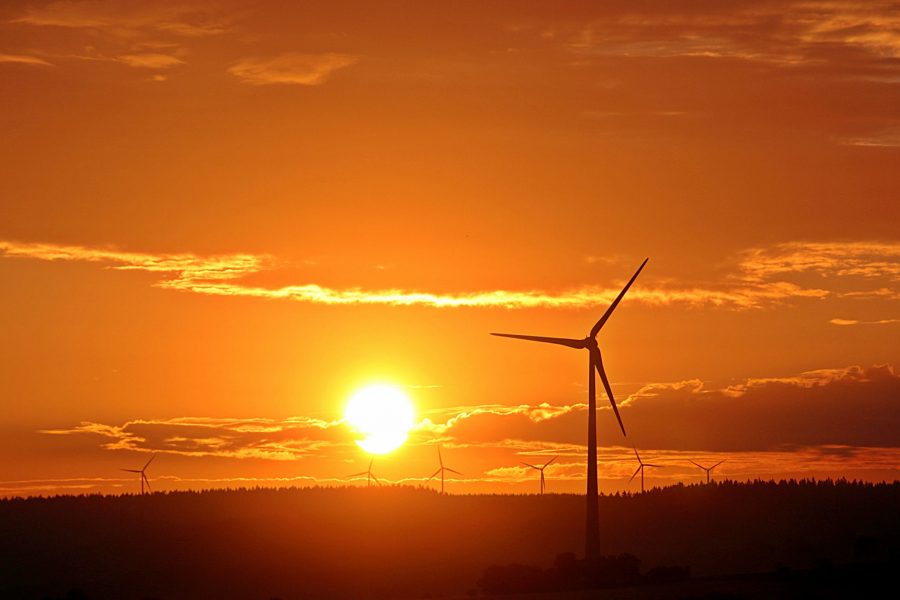 La energía renovable resiste a la pandemia en España