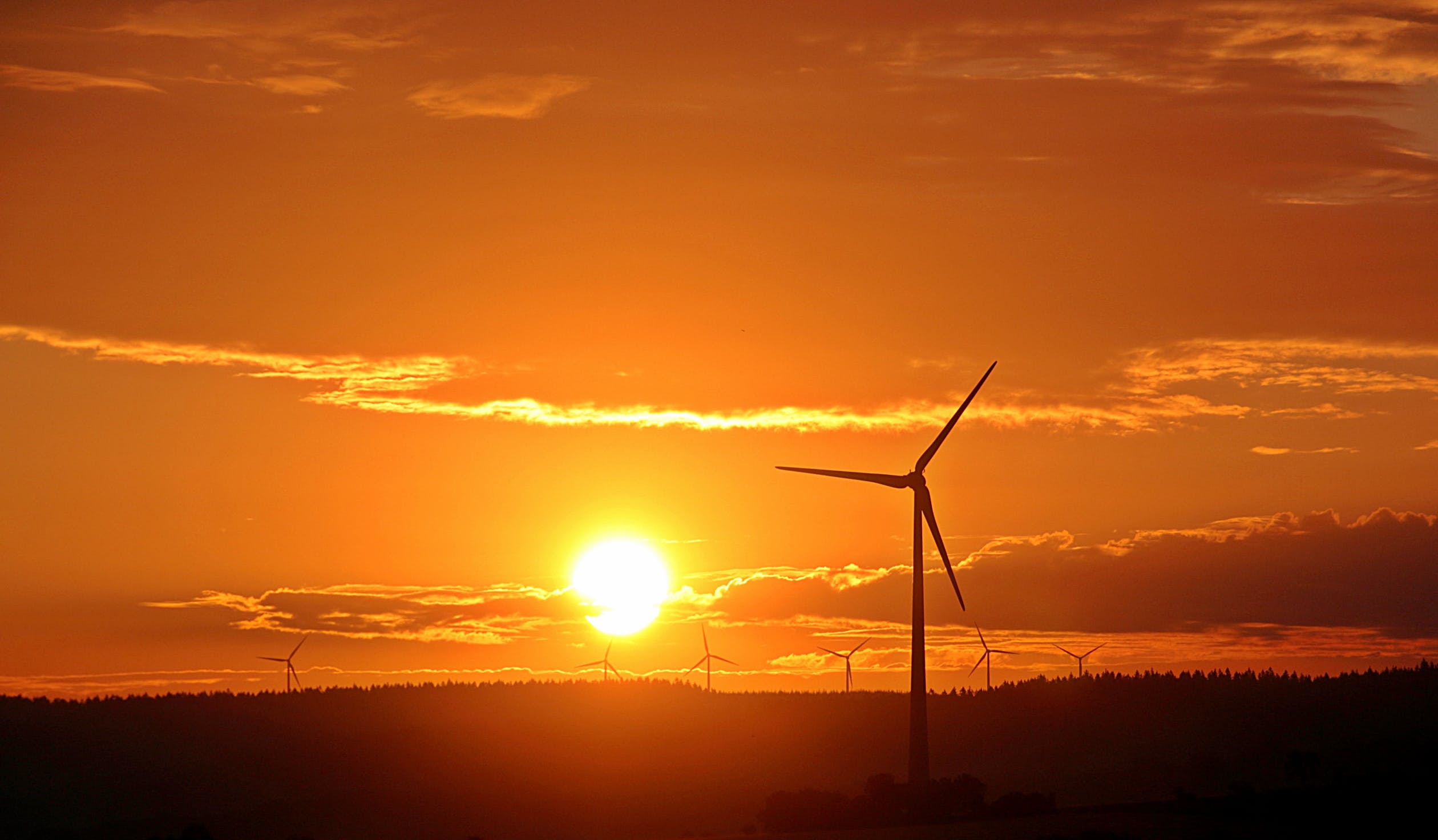 La energía renovable resiste a la pandemia en España