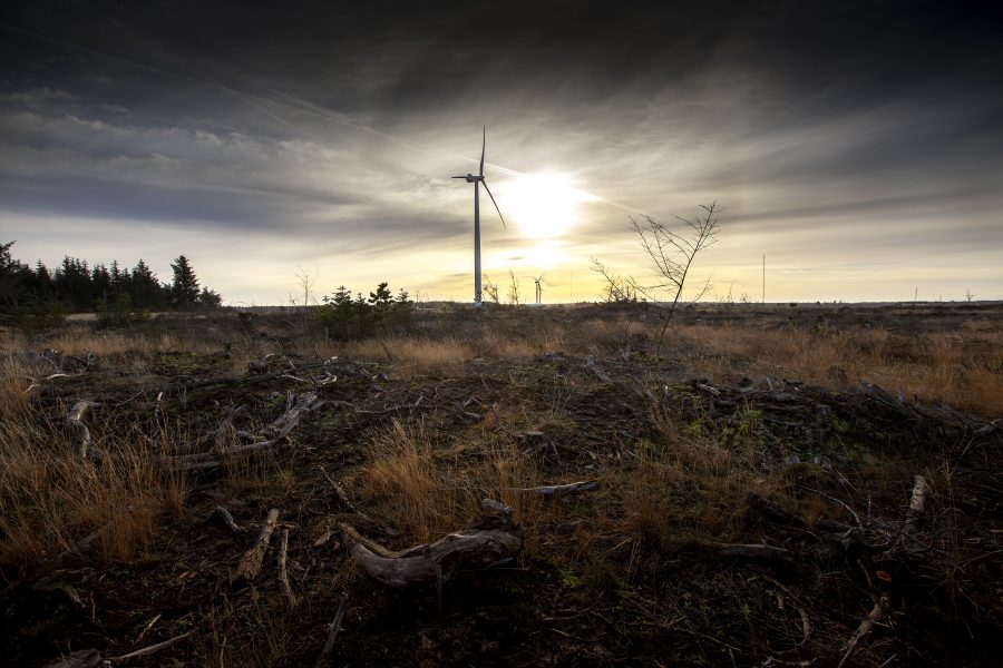 Vestas wins 100 MW deal in Argentina