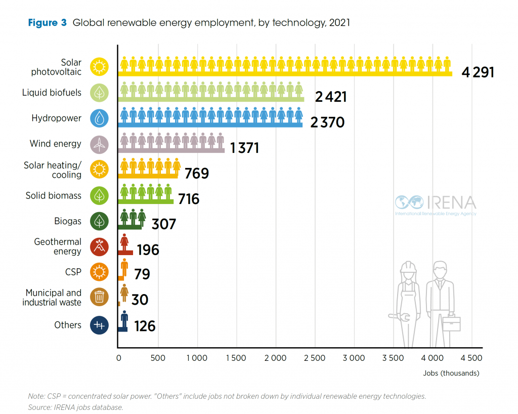 Renewable employment by type of technology